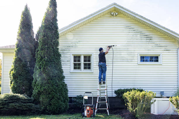Best House Pressure Washing  in Mount Pleasant, IA