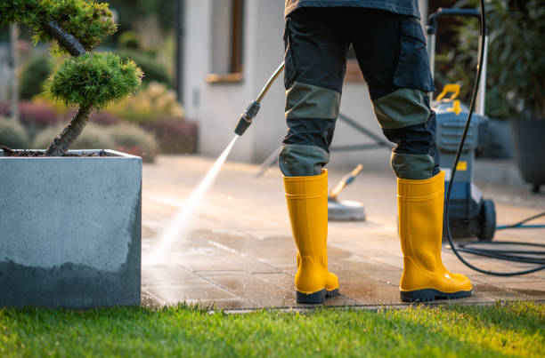 Best Affordable Power Washing  in Mount Pleasant, IA